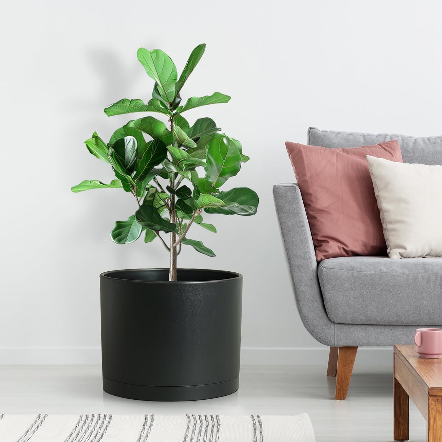 Large Plant Pots Set of 3 – 8", 9", 10" Indoor Flower Pots with Drainage Holes and Saucers, Big Planters for Monstera