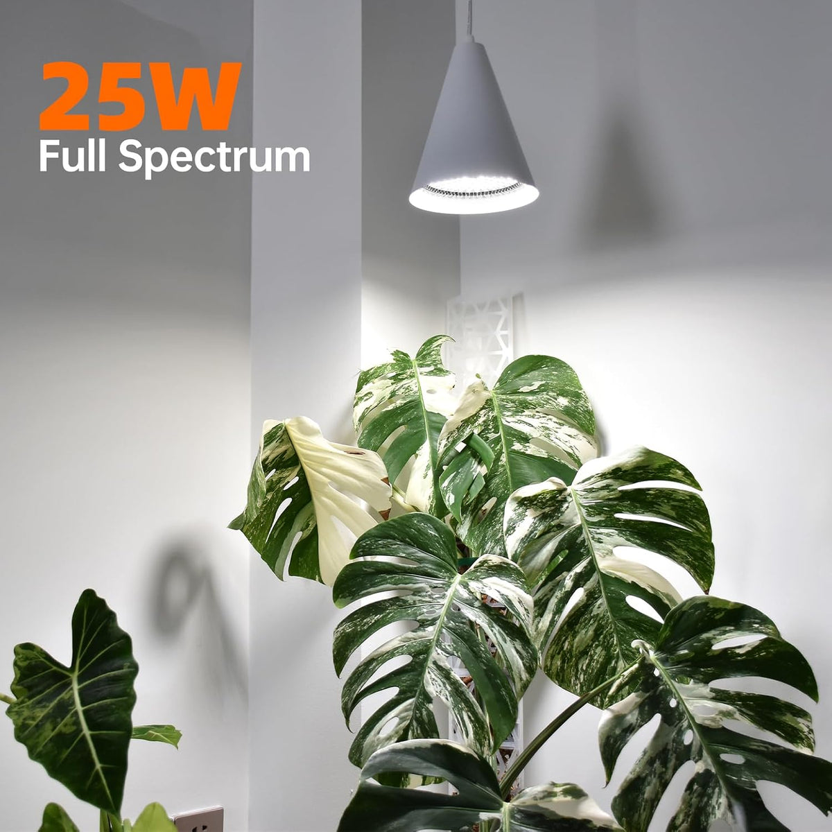 Hanging Grow Light for Indoor Plants, 5000K | 25W Full Spectrum Plant Light, 4H/9H/14H Timer& 16.4FT Power Cord for