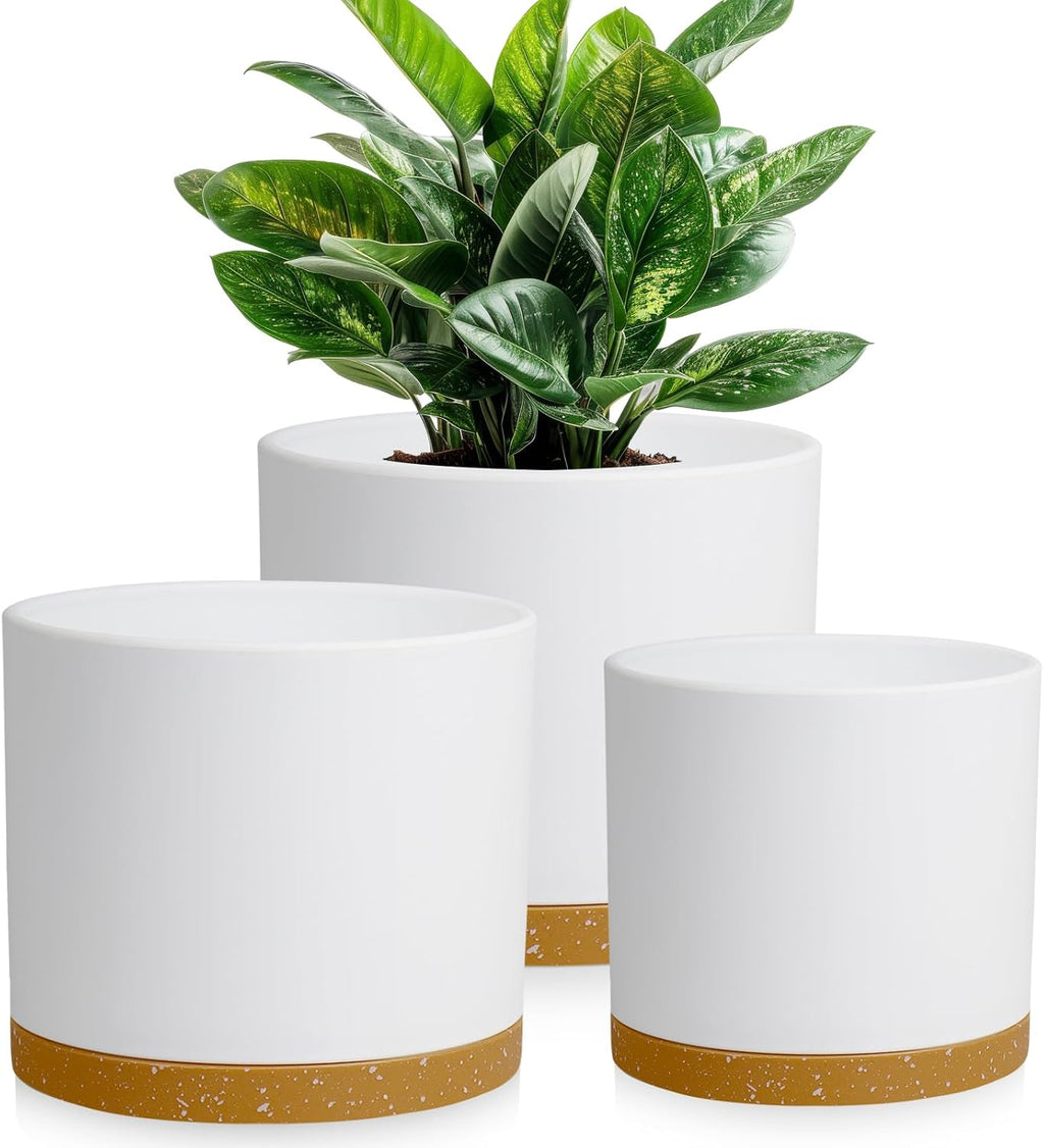 Large Plant Pots Set of 3 – 8", 9", 10" Indoor Flower Pots with Drainage Holes and Saucers, Big Planters for Monstera