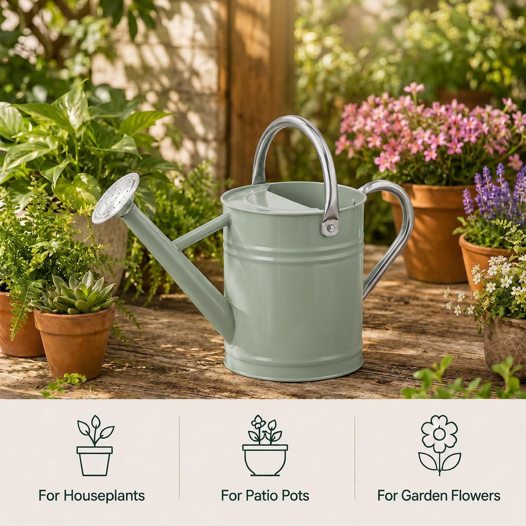1 Gallon Metal Watering Can for Indoor Outdoor Plants, Cream Green | Removable spout switches between gentle shower and