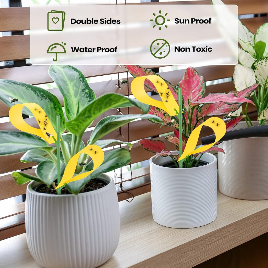 Qualirey 400 Pcs Sticky Houseplant Traps Fungus Gnat Fruit Fly Trap Sticky Houseplant Stakes Insect for Outdoor Garden
