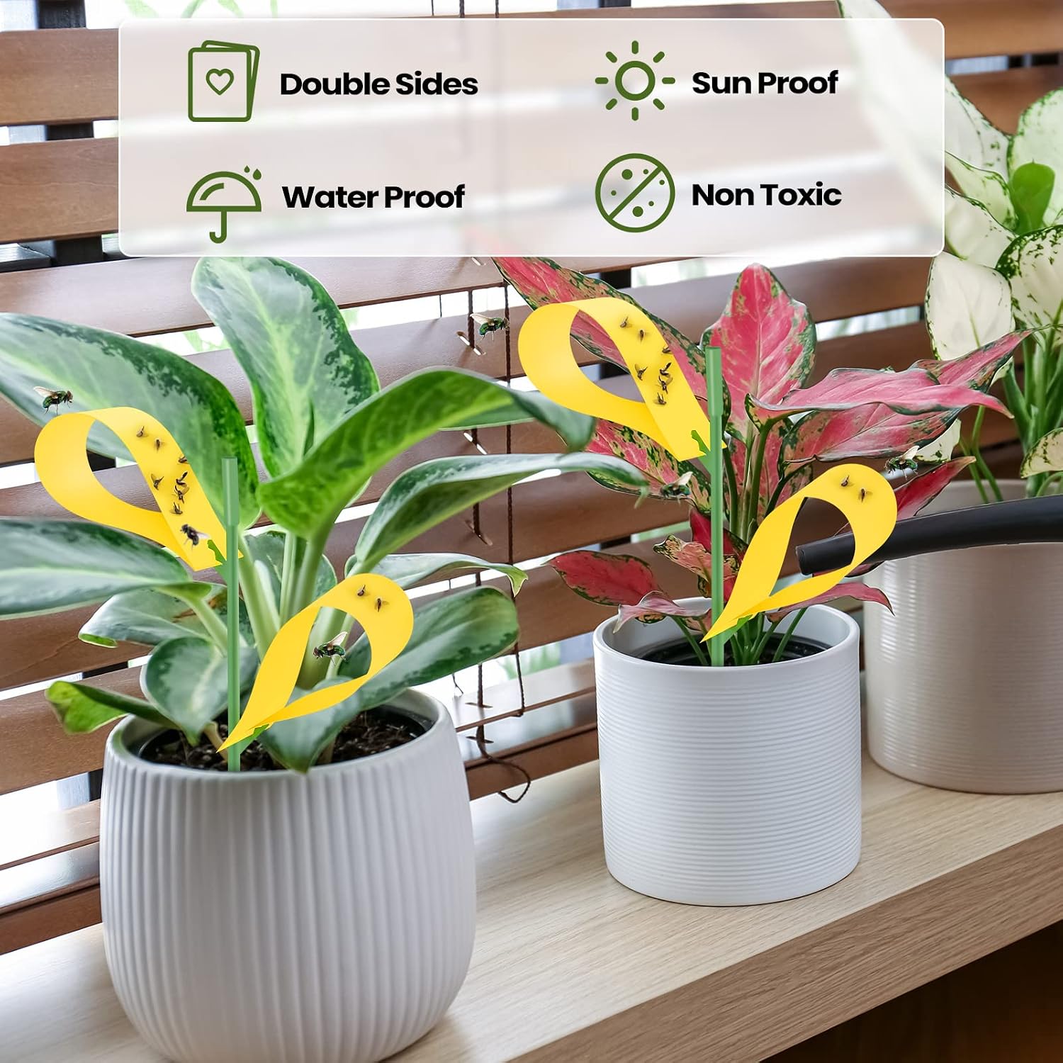 Qualirey 400 Pcs Sticky Houseplant Traps Fungus Gnat Fruit Fly Trap Sticky Houseplant Stakes Insect for Outdoor Garden