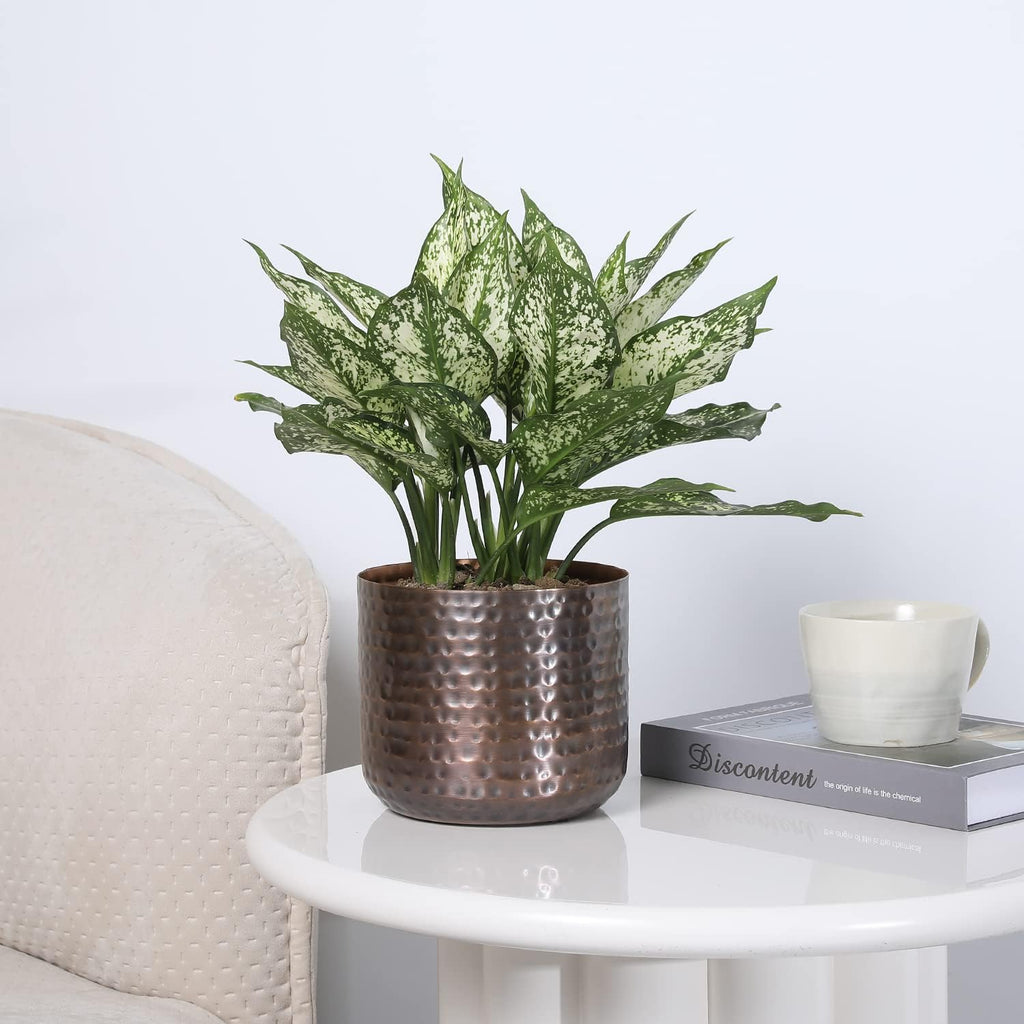 MyGift 6 Inch Copper Metal Vase, Hammered Flower Pot, Handcrafted | Elegant hammered finish brings artisan character to