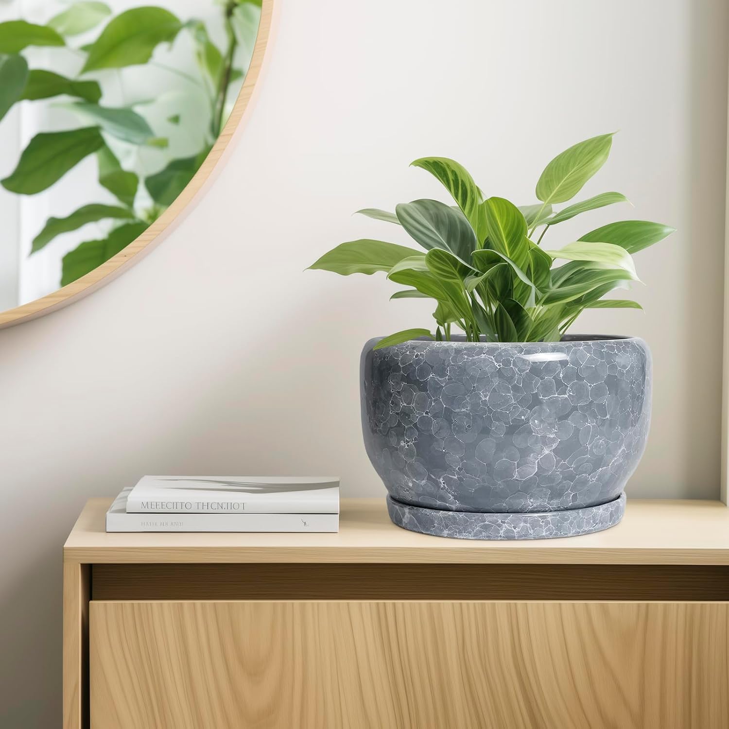 SQOWL Ceramic Pot for Plants - 10 Inch Plant Pot Indoor with Drainage Hole and Saucer, Round Ceramic Planter