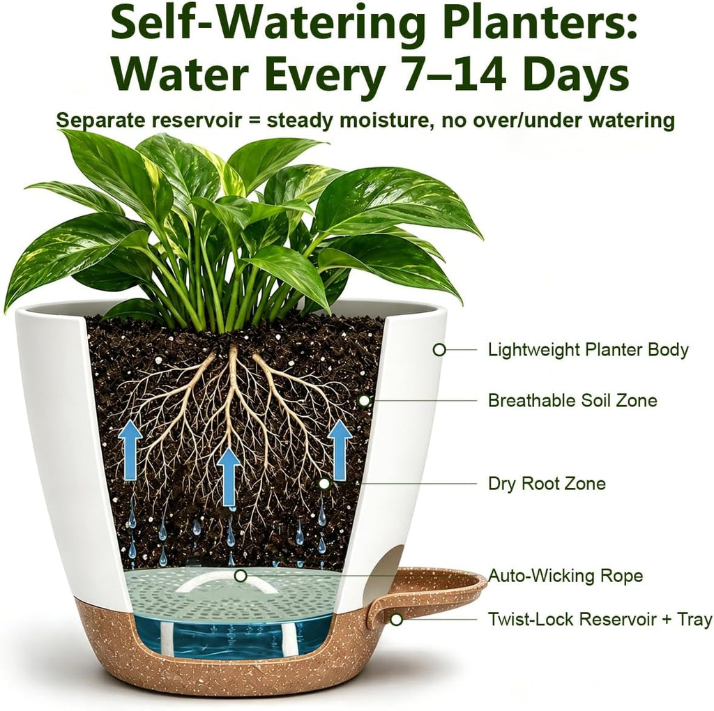 Plant Pots for Indoor 9/8/7/6.5/6/5 Inch, Self Watering Planter Pots with Drainage Holes and Saucers, 6Pcs Plastic