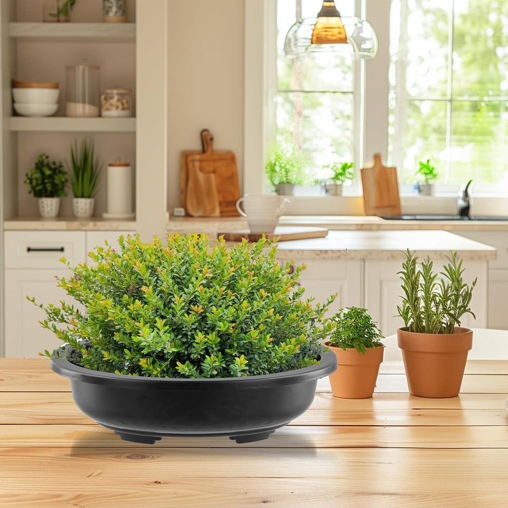 HOIGON 10PCS 12 Inches Plastic Oval Bonsai Training Pots, Black Large Oval Plastic Planter Pot with Drainage Hole