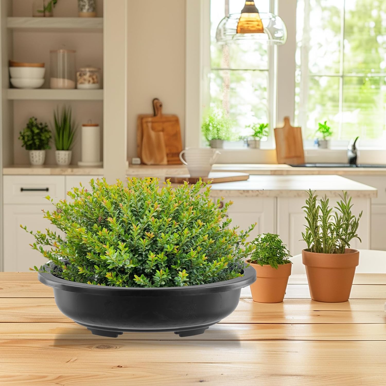 HOIGON 10PCS 12 Inches Plastic Oval Bonsai Training Pots, Black Large Oval Plastic Planter Pot with Drainage Hole