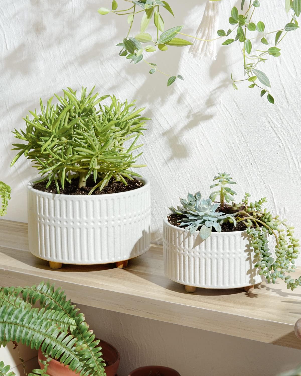 LE TAUCI Succulent Pots, 6.5+8 Inch Ceramic Indoor Plant Pot with Drainage Hole, Shallow Round Succulent Planters, Set
