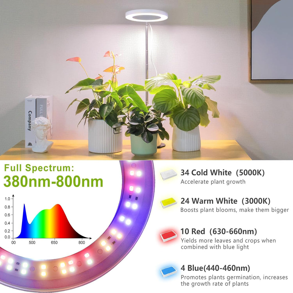 LORDEM Desk Grow Light, Full Spectrum LED for Indoor Plants | Auto On/Off Timer 4/8/12H, 4 Dimmable Levels, Height