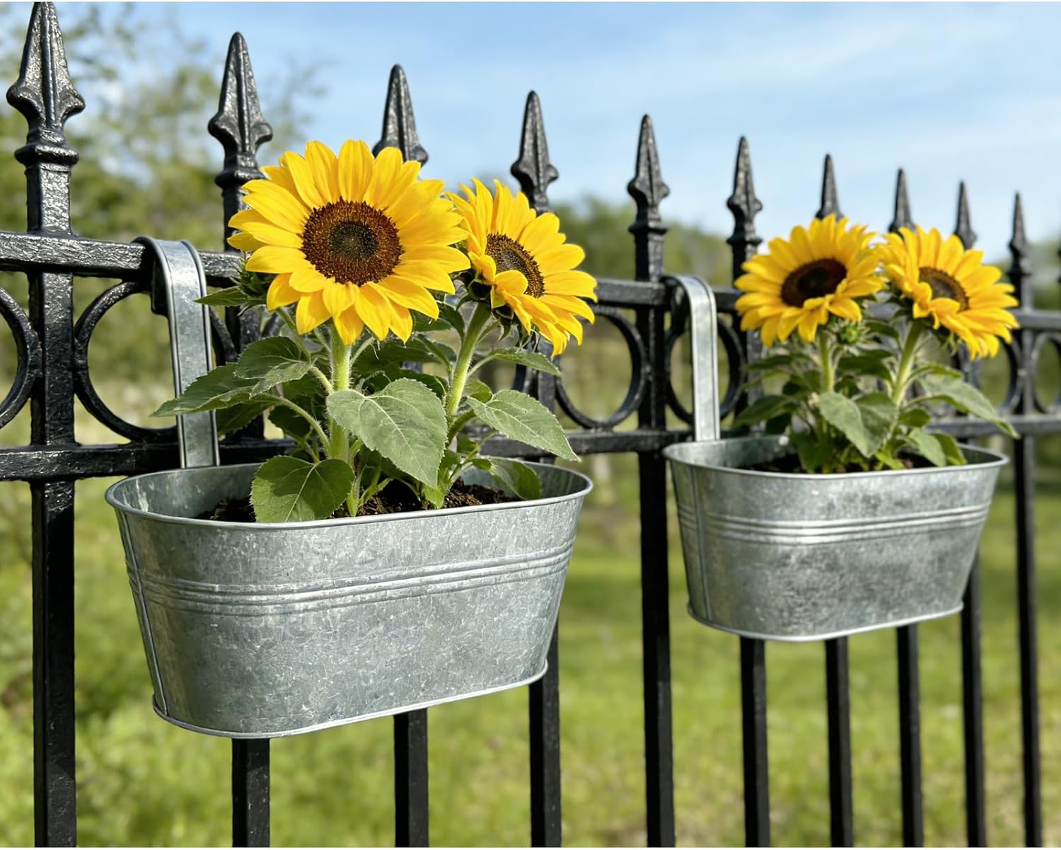 8 Pack 10" Galvanized Hanging Railing Planters with Hooks and Drainage | Rustproof, Detachable hooks, Drainage hole