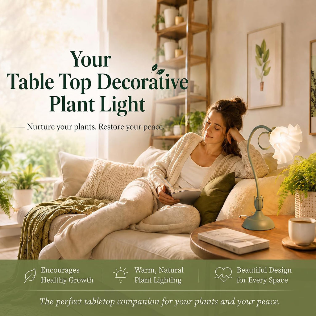 Table Top Grow Light for Indoor Plants – Decorative Desk Plant Light for Succulents Bonsai Cactus, Adjustable Desktop