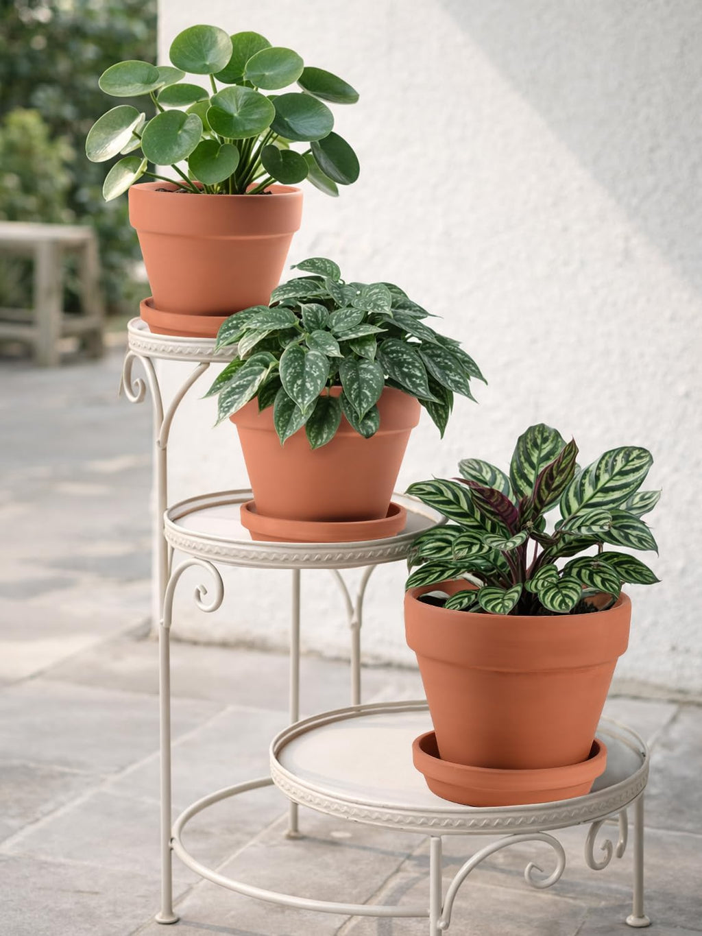 INGOFIN Terracotta Pots Set with Saucer - 5/6/7 inch Ceramic Clay Planters with Drainage Hole, Garden Flower Succulent
