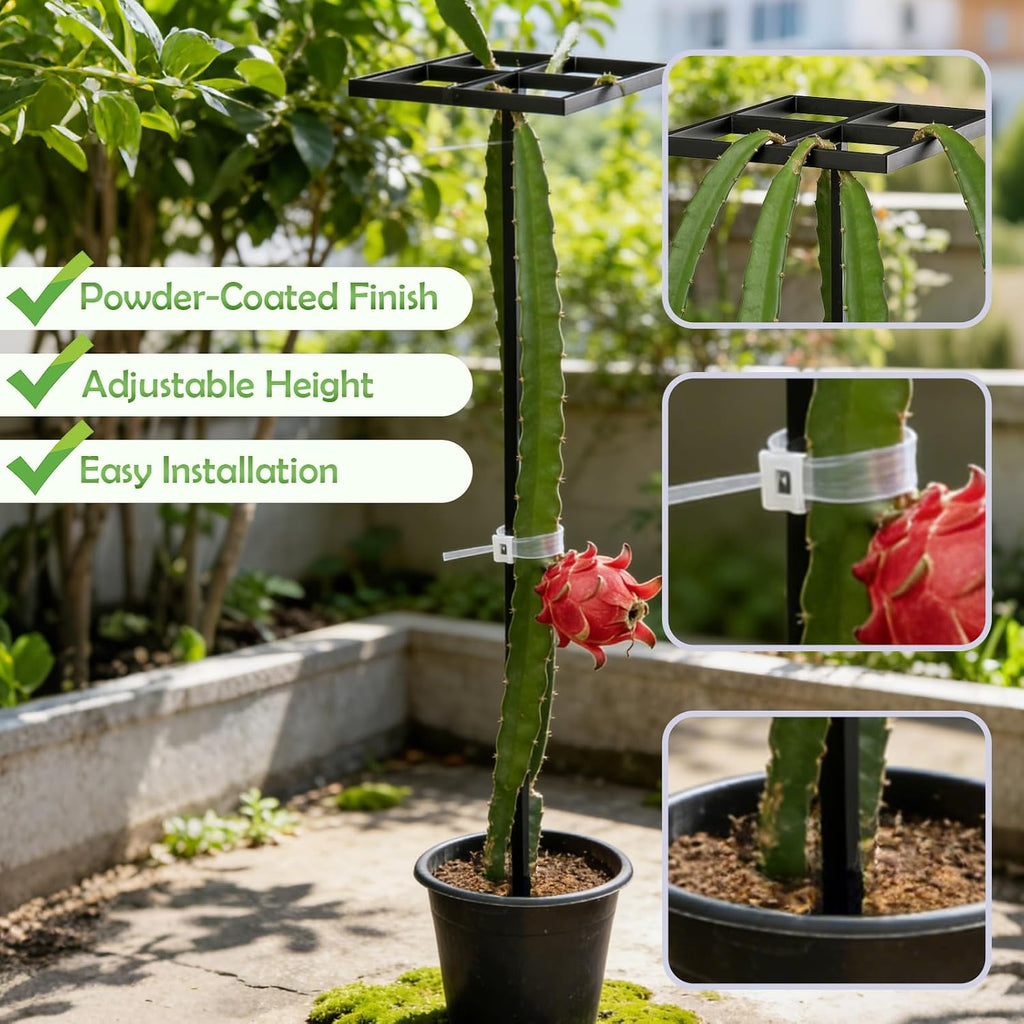 2 Pcs Dragon Fruit Trellis for Climbing Plants, Adjustable Metal Plant Trellis, Outdoor & Indoor Garden Trellis for