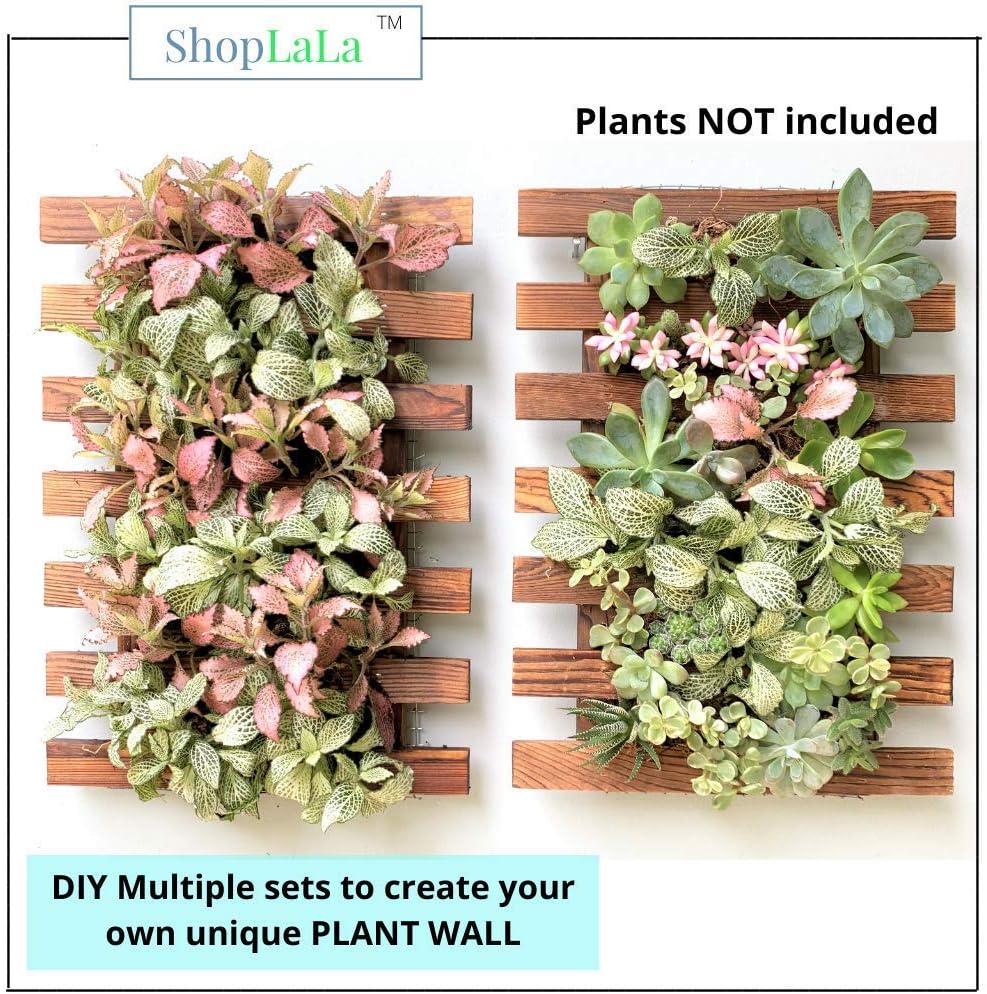 ShopLaLa Wooden Wall Planter (40cm, 4 Pack) Hanging Planters for Indoor | Air Plant Succulent Orchid Holder, Live