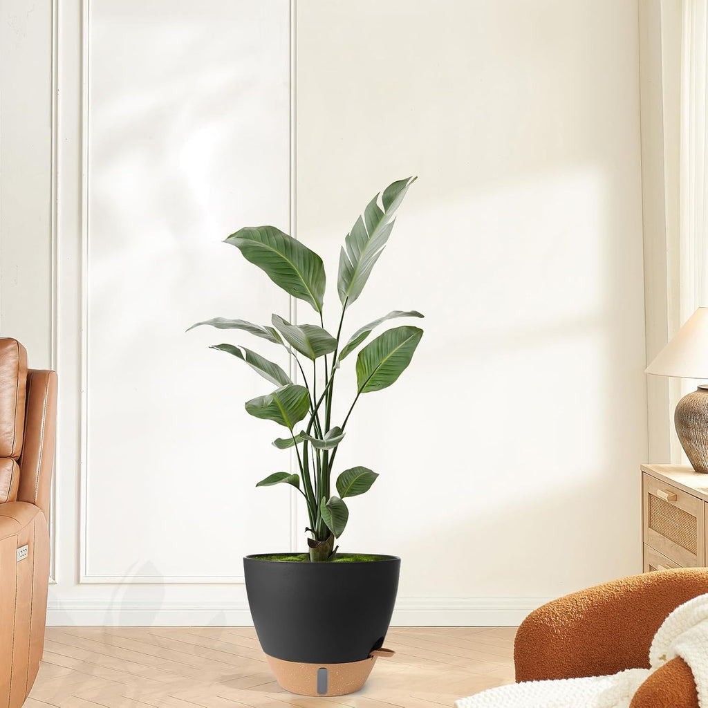 Self Watering Pots for Indoor Plants 12/10/9/8 Inch Plastic with Reservoir | Visible Water Level Indicator,Two Weeks