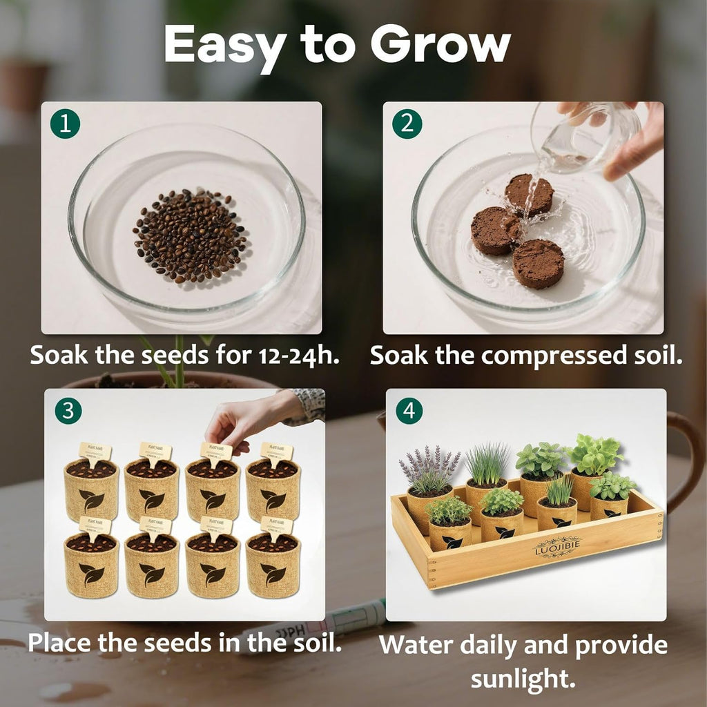 Indoor Herb Garden Start Kit - Unique Gifts for Women, Mothers Day Gifts, Easy House Plant- Birthday for Women,House