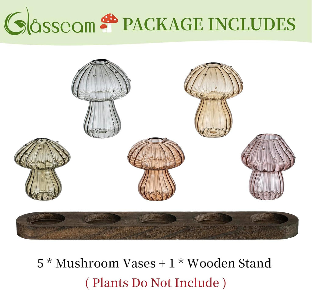 Glasseam 5 Pcs Mushroom Propagation Station: Glass Terrarium Jar for Plants | With Wood Stand, Fall Colored, Handmade