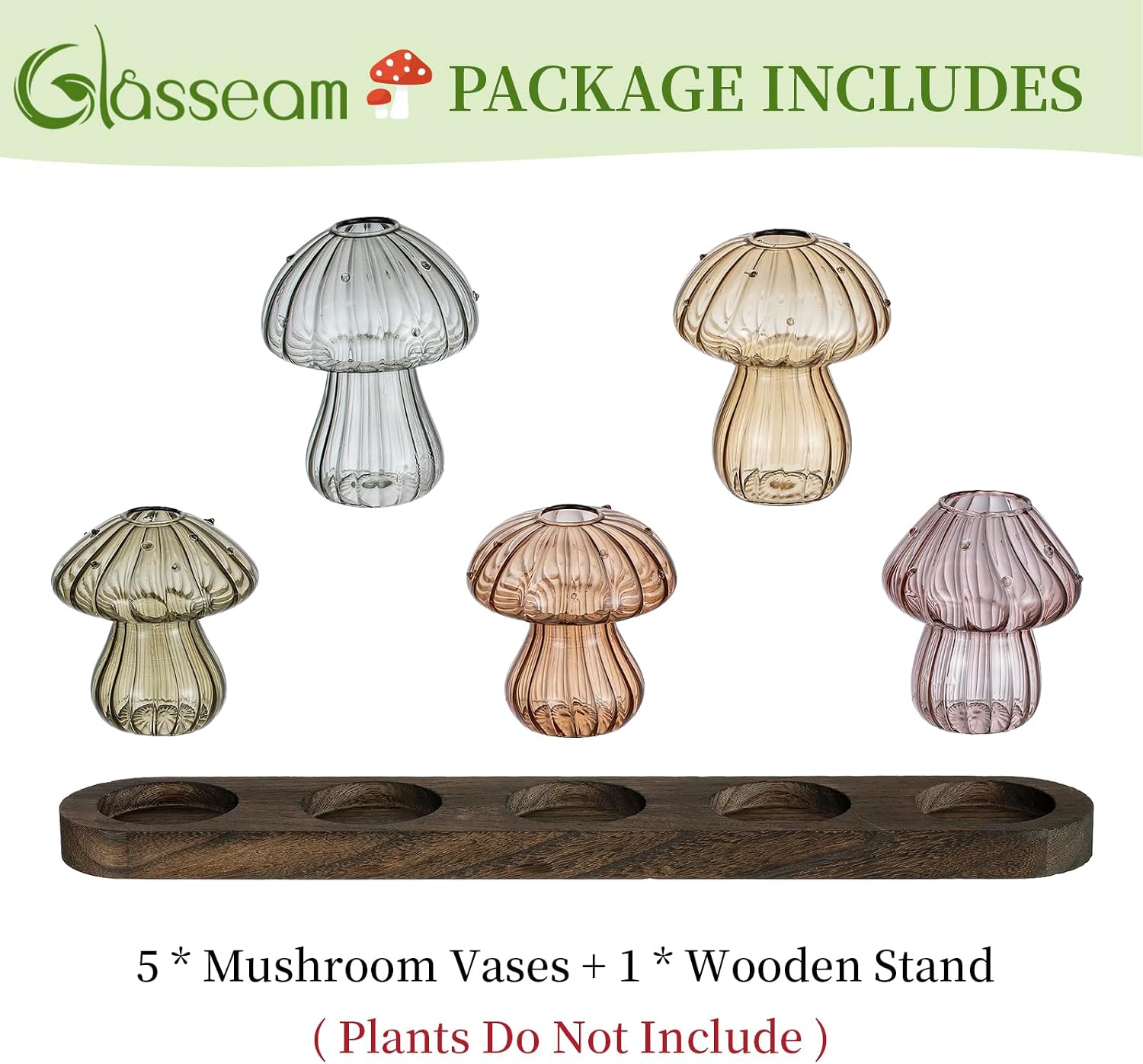 Glasseam 5 Pcs Mushroom Propagation Station: Glass Terrarium Jar for Plants | With Wood Stand, Fall Colored, Handmade