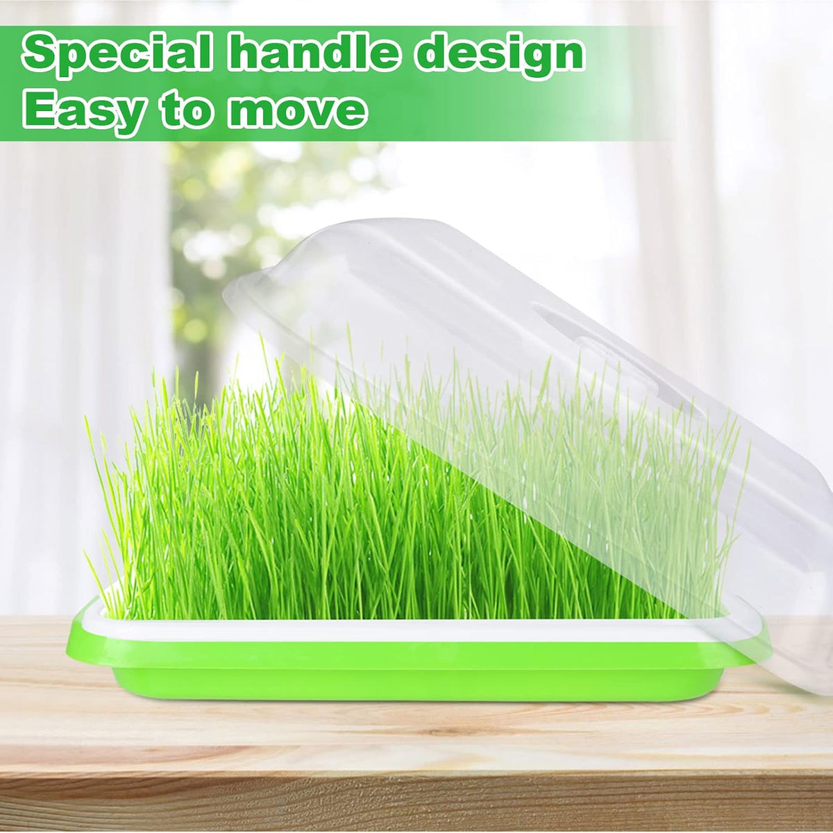 SHUESS 6 Pack Seed Sprouting Tray with Drain Holes BPA Free Nursery Tray Microgreens Growing Trays Wheatgrass Grower