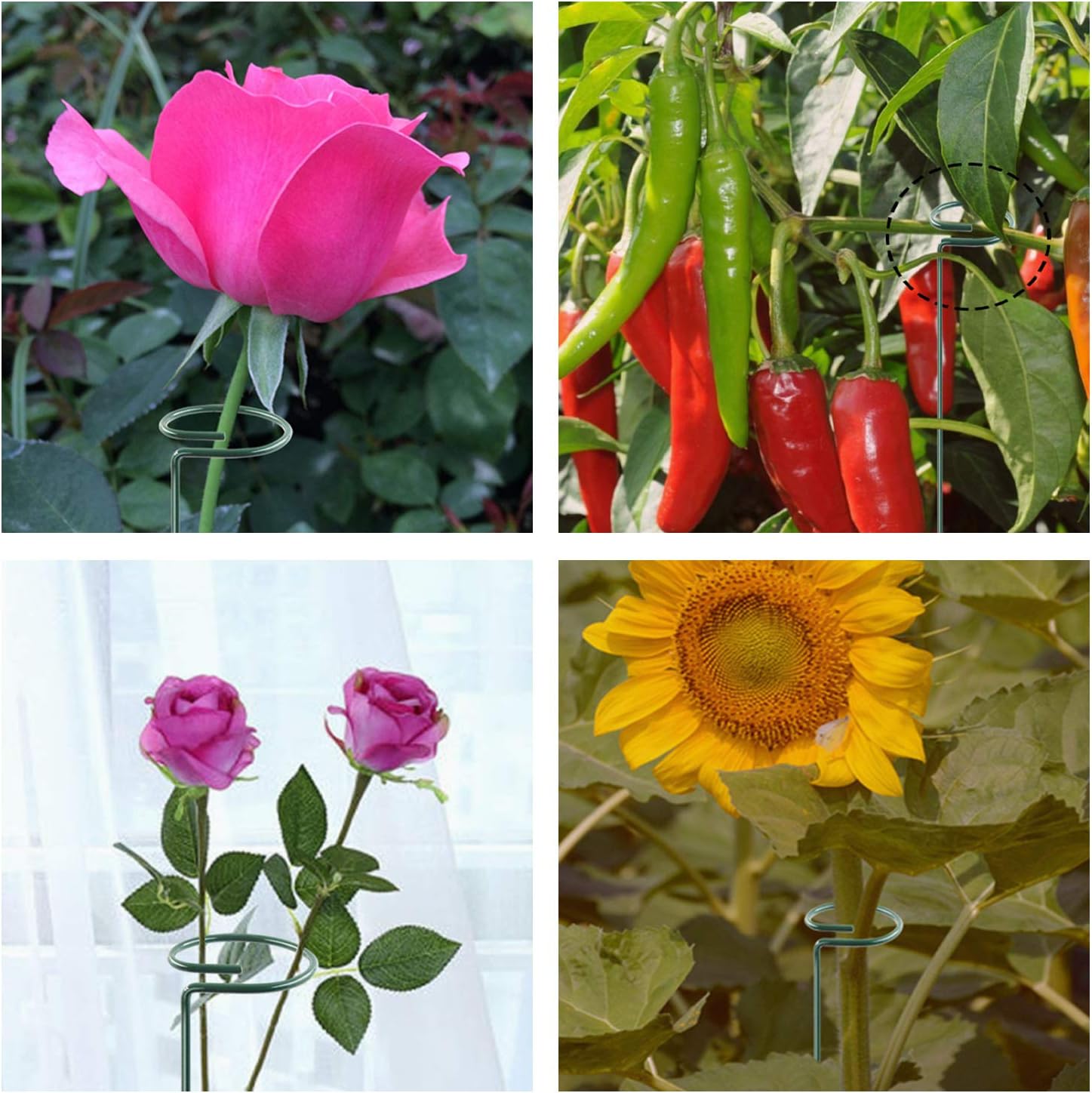 HiGift 10 Pack 36 Inch Plant Support Stake for Tall Plant, Garden Single Stem Flower Support Stake Indoor Plant Cage