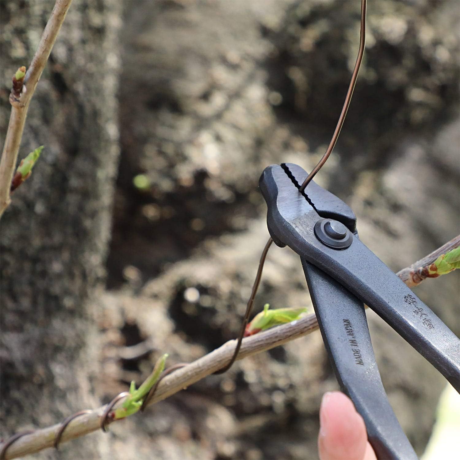 Wazakura Forged Japanese Bonsai Tool Set MADE IN JAPAN, Bonsai Tree Wire Cutter 7.7inch(195mm) + Bonsai Pliers