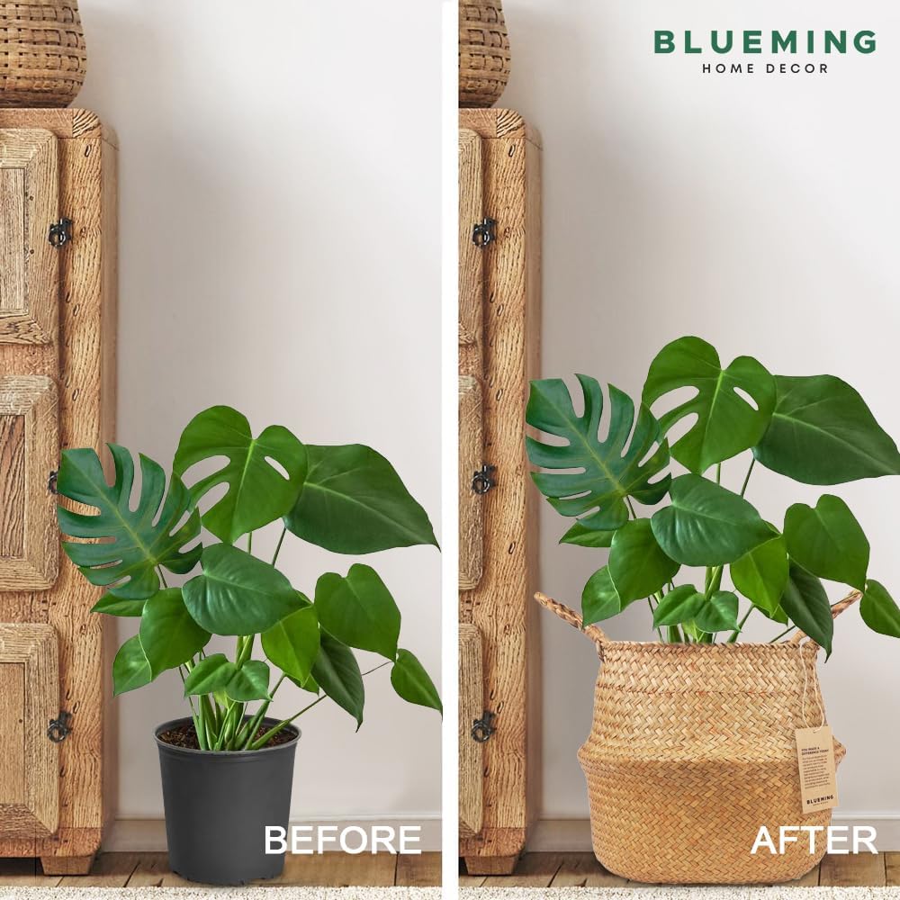Large Plant Basket, Woven Seagrass Planter for Indoor Plants