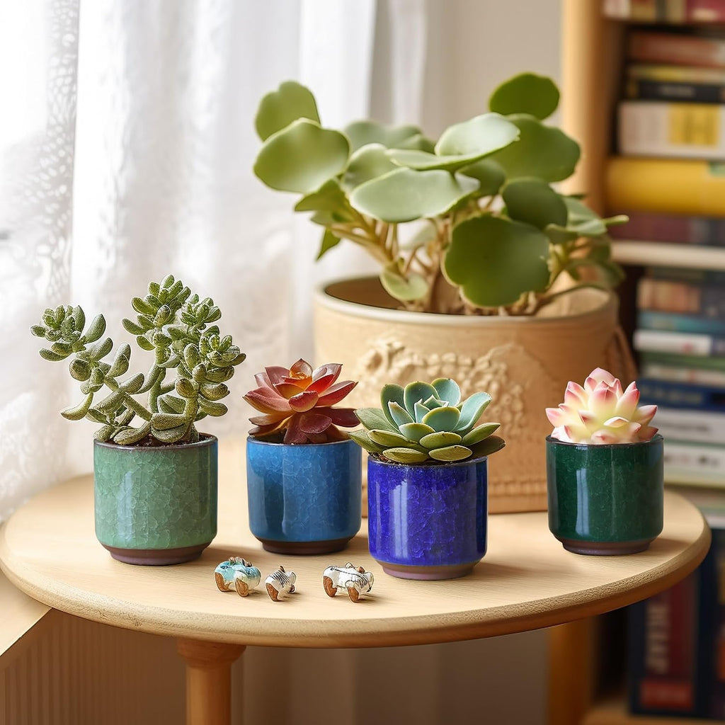 T4U 2.5 Inch Small Ceramic Succulent Planter Pot with Drainage Hole Set of 12, Ice Crack Glaze Plant Container for