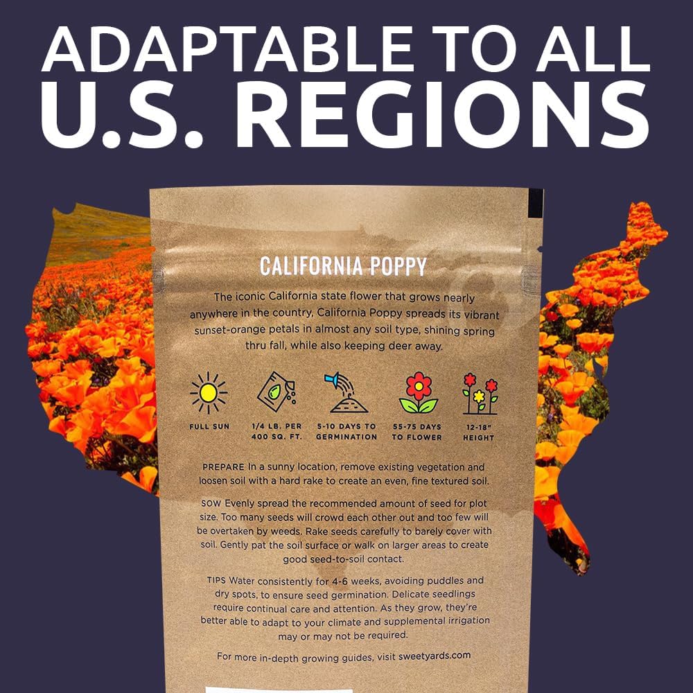 California Orange Poppy Wildflower Seeds - Bulk 1/4 Pound Bag - Over 80,000 Native Seeds - California State Flower!