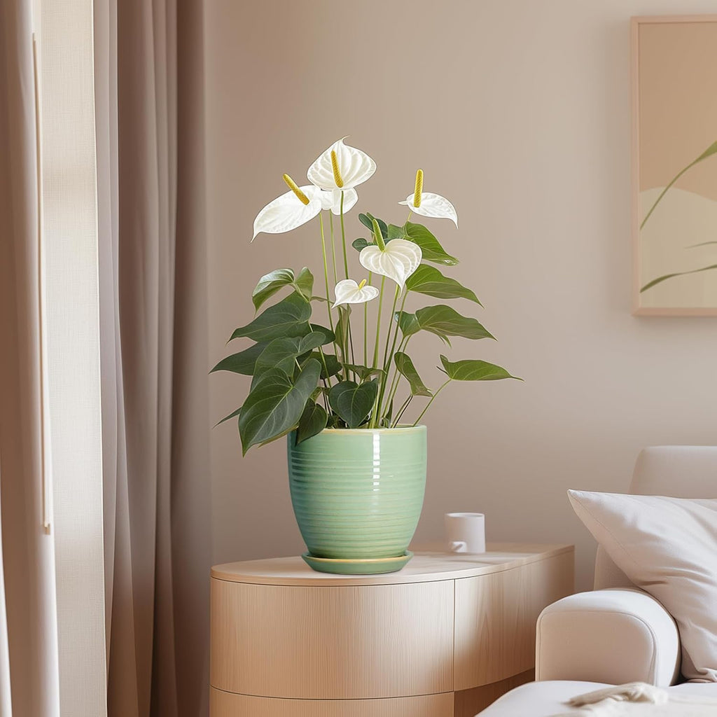 Ceramic Plant Pots - 6 Inch Ceramic Planter with Drainage Hole and Saucer, Modern Planters for Indoor Outdoor Plants