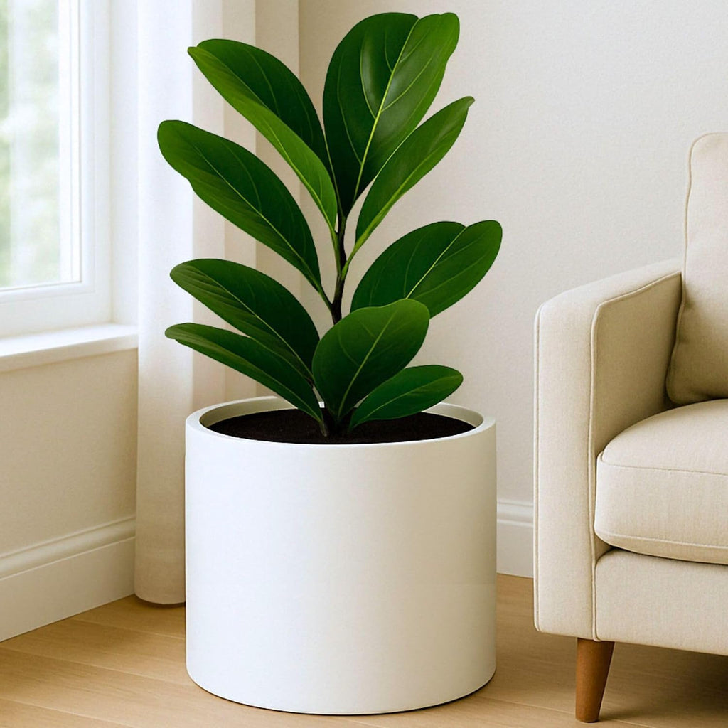 Fox & Fern Large Planter for Indoor or Outdoor, Matte White, 14.6 Inch | UV & Frost Resistant, 70% Lighter than