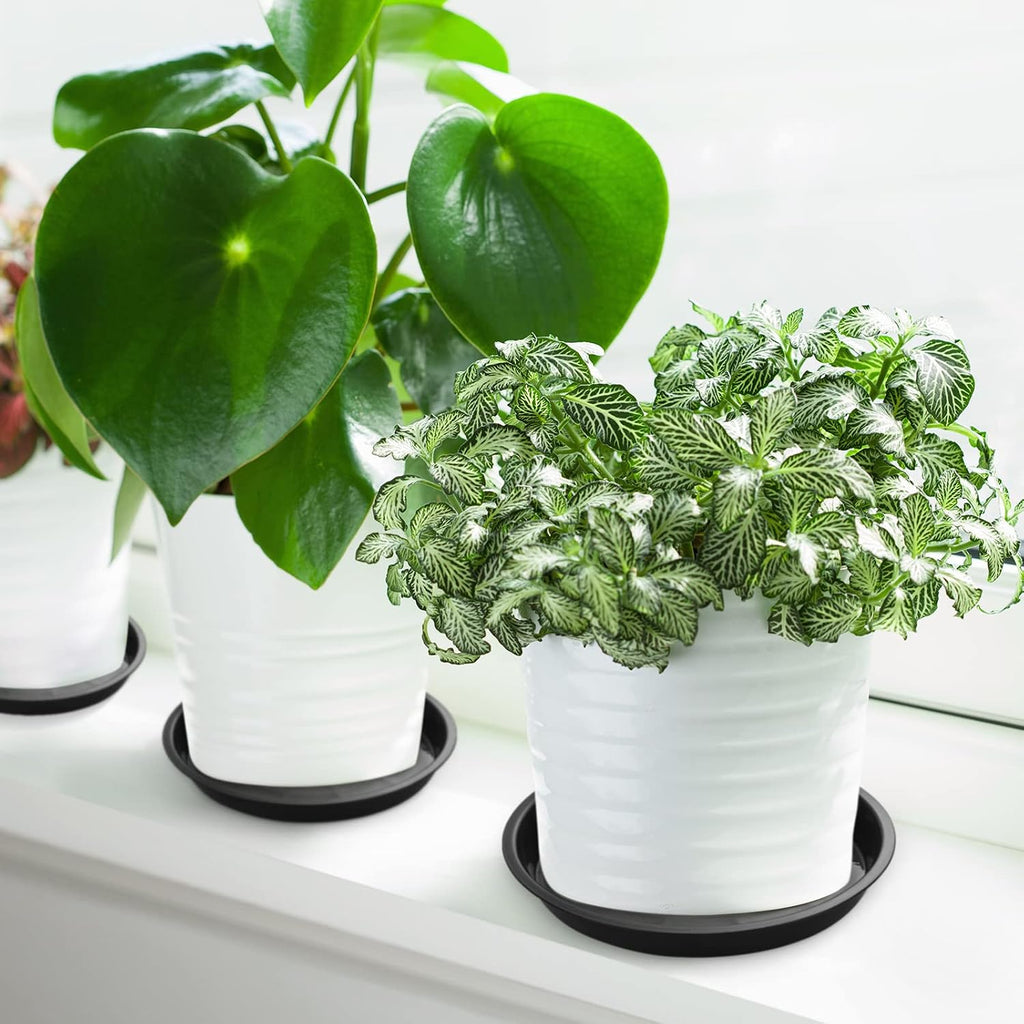 Honeydak 48 Pieces Plant Saucer Potted Plant Trays Round Plastic Drainage Tray Sturdy Drip Flower Saucers for Potted