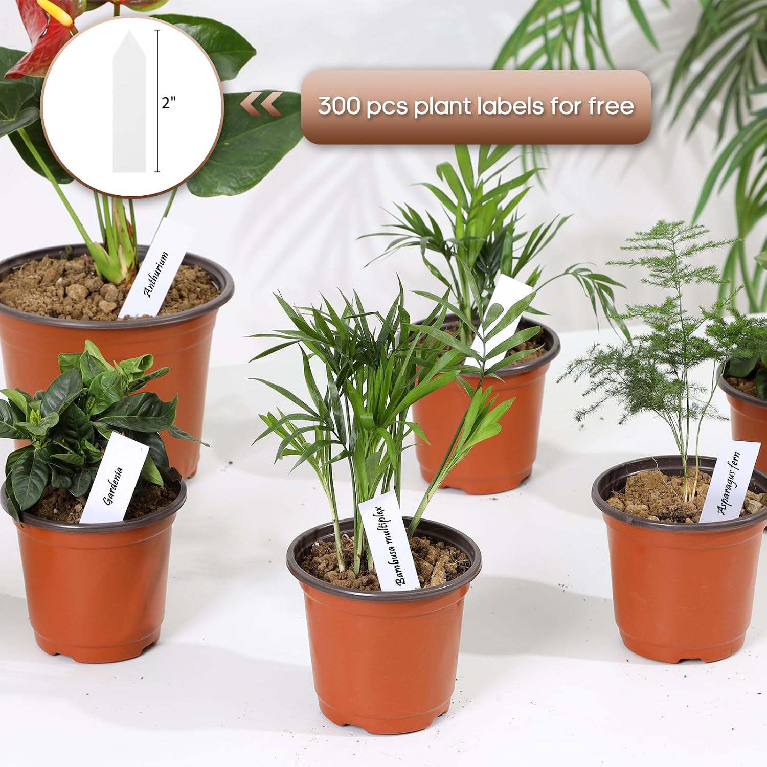 4 Inch 300 Pack Plastic Nursery Pots with Drainage Holes with 300pcs Labels | Garden Flower Pots,for Transplanting,for