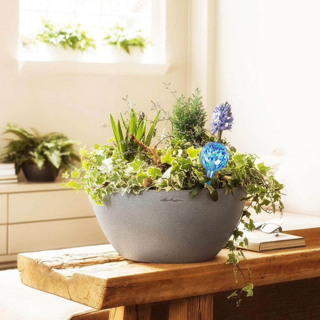 Plant Watering Globes Set of 6, Small - Glass Self Watering Globes | Plant Watering Devices for Indoor & Outdoor