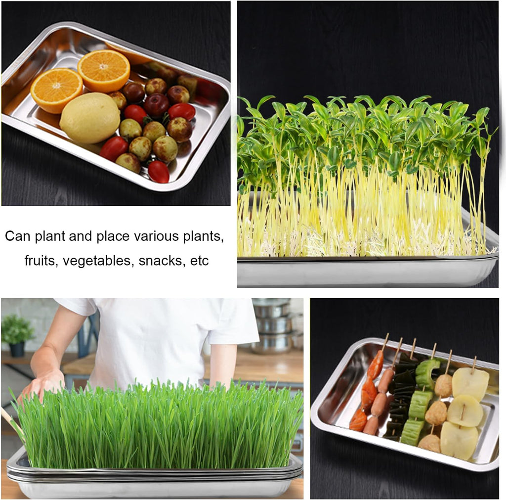 RooTrimmer 10 Pack Stainless Metal Trays, Stainless Steel Seed Starter Carry Tray for Nursery Seedling Pots Water