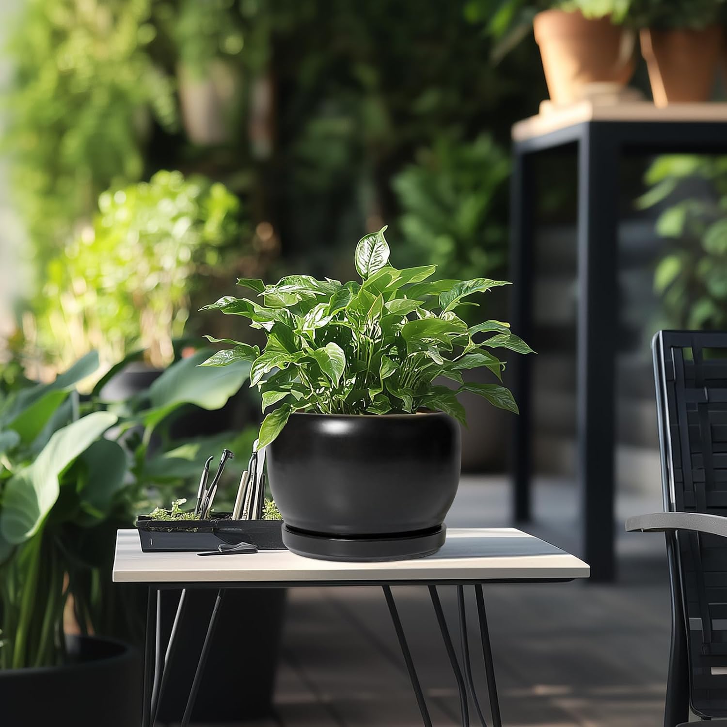 SQOWL Ceramic Plant Pots - 8 Inch Planter Indoor, Round Flower Pot with Drainage Hole and Saucer, Modern Outdoor