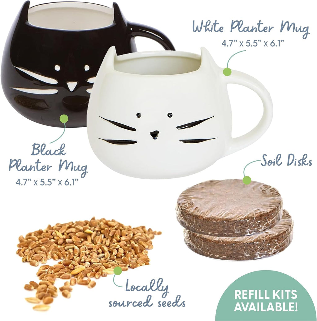 The Cat Ladies Cat Grass Growing Kit with Organic Cat Grass Seed Mix, Soil and Two Cat Grass Planters. Perfect Cat
