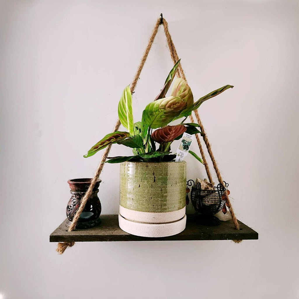 HERDUK 6 Inch Plant Pots, Ceramic Planter Pot with Drainage Hole & Saucer, Indoor/Outdoor Cylinder Round Planter Pot