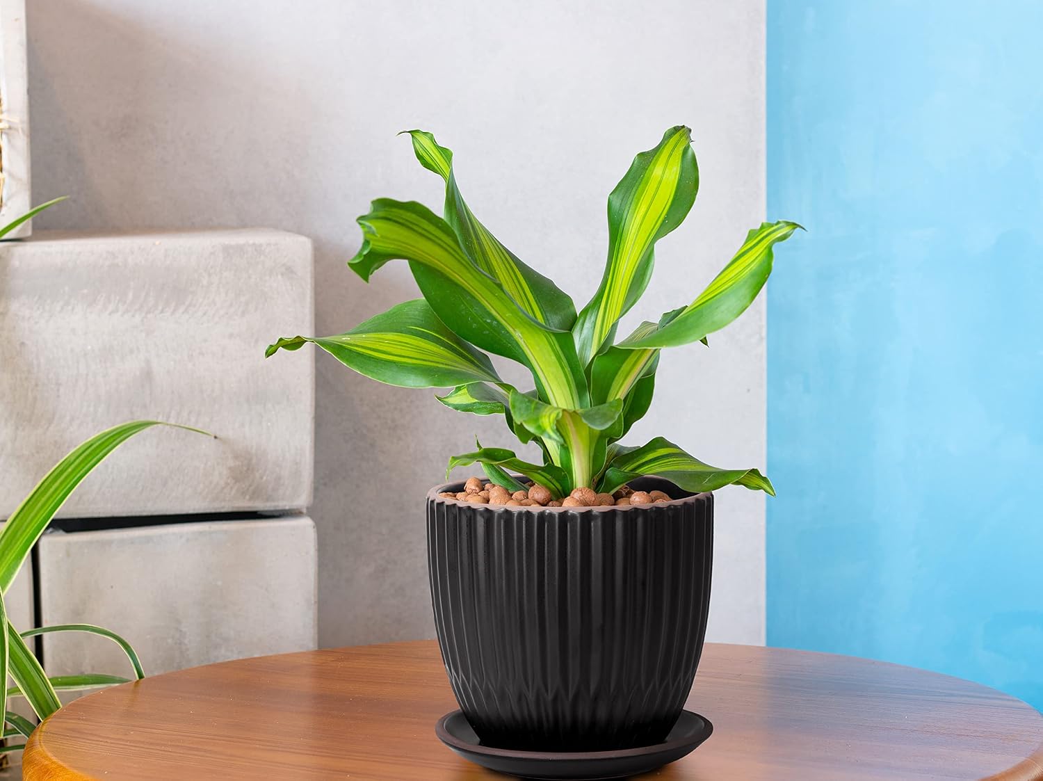 D'vine Dev 2-Pack Stoneware Planter Pots, 4.5/5.8 in, Black, 99-D-2 | Vertical Ribbed Texture, Smooth Glazed Finish