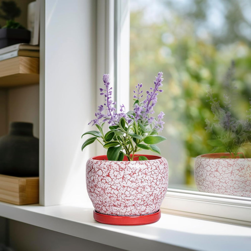 SQOWL 6 Inch Plant Pot - Ceramic Planter for Indoor Outdoor, Round Decorative Plant Pot with Drainage Hole and Saucer