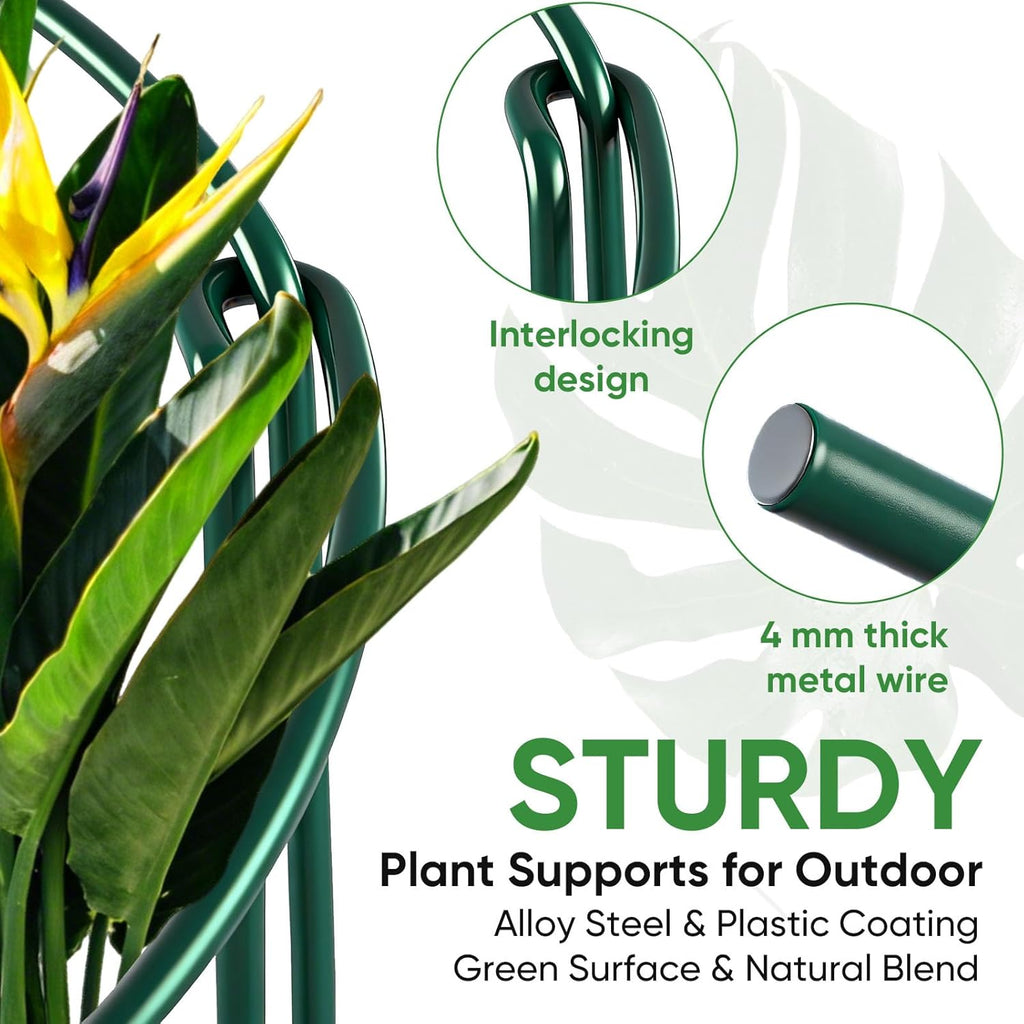 HiGift 10 Pack 24" H x 10" W Tall Plant Support Stakes, Half Round Metal Peony Cages and Supports, Monstera Plant