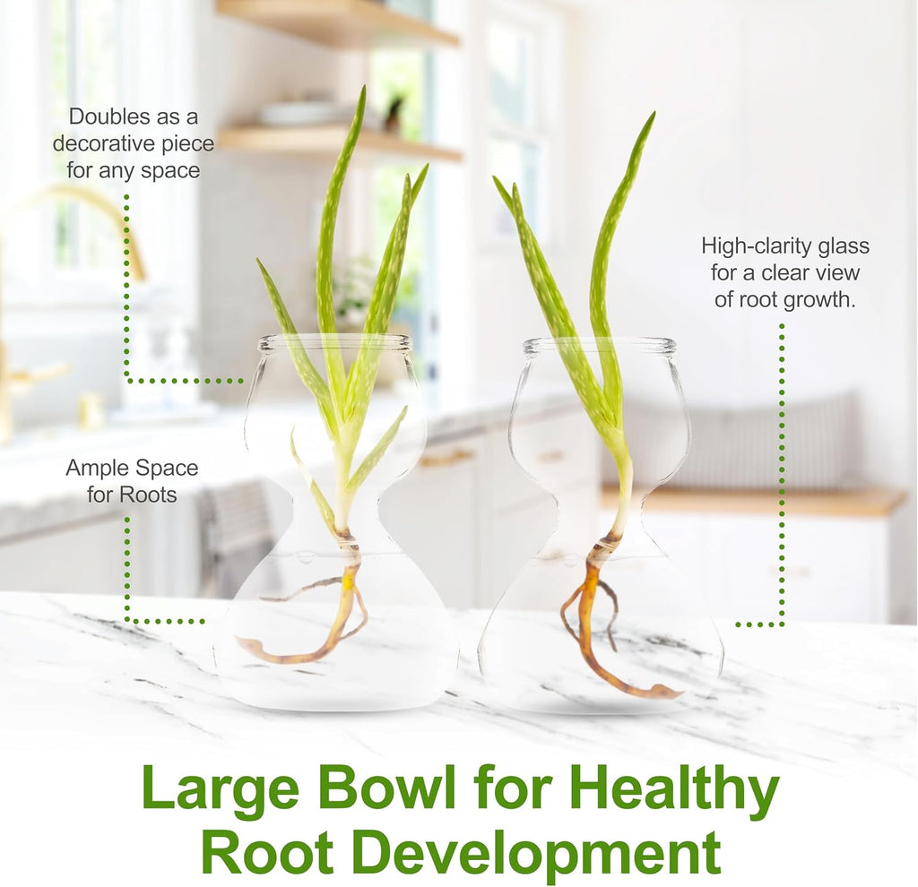 Garden Guru Plant Propagation Stations - Clear Glass Bud Vases Set of 8 - Mini Vases for Wedding Centerpieces, Cafe