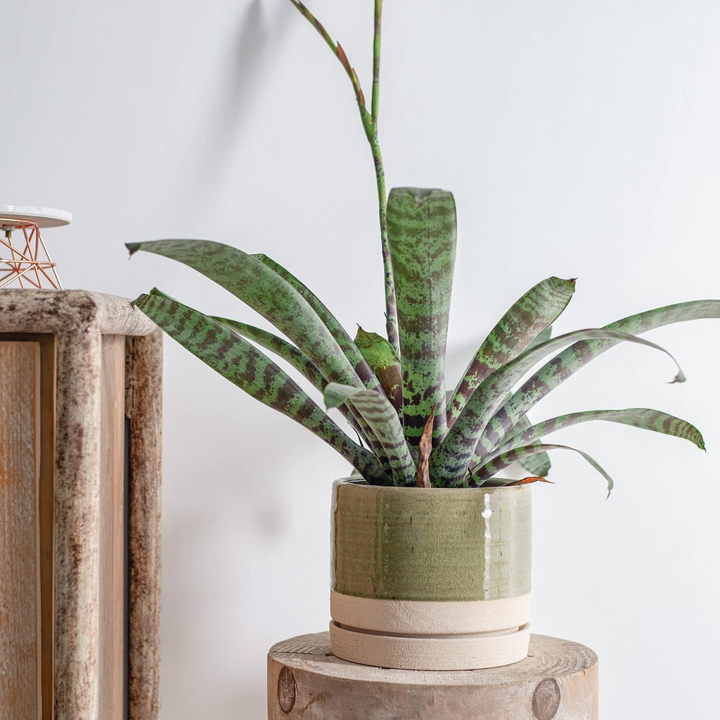HERDUK 6 Inch Plant Pots, Ceramic Planter Pot with Drainage Hole & Saucer, Indoor/Outdoor Cylinder Round Planter Pot