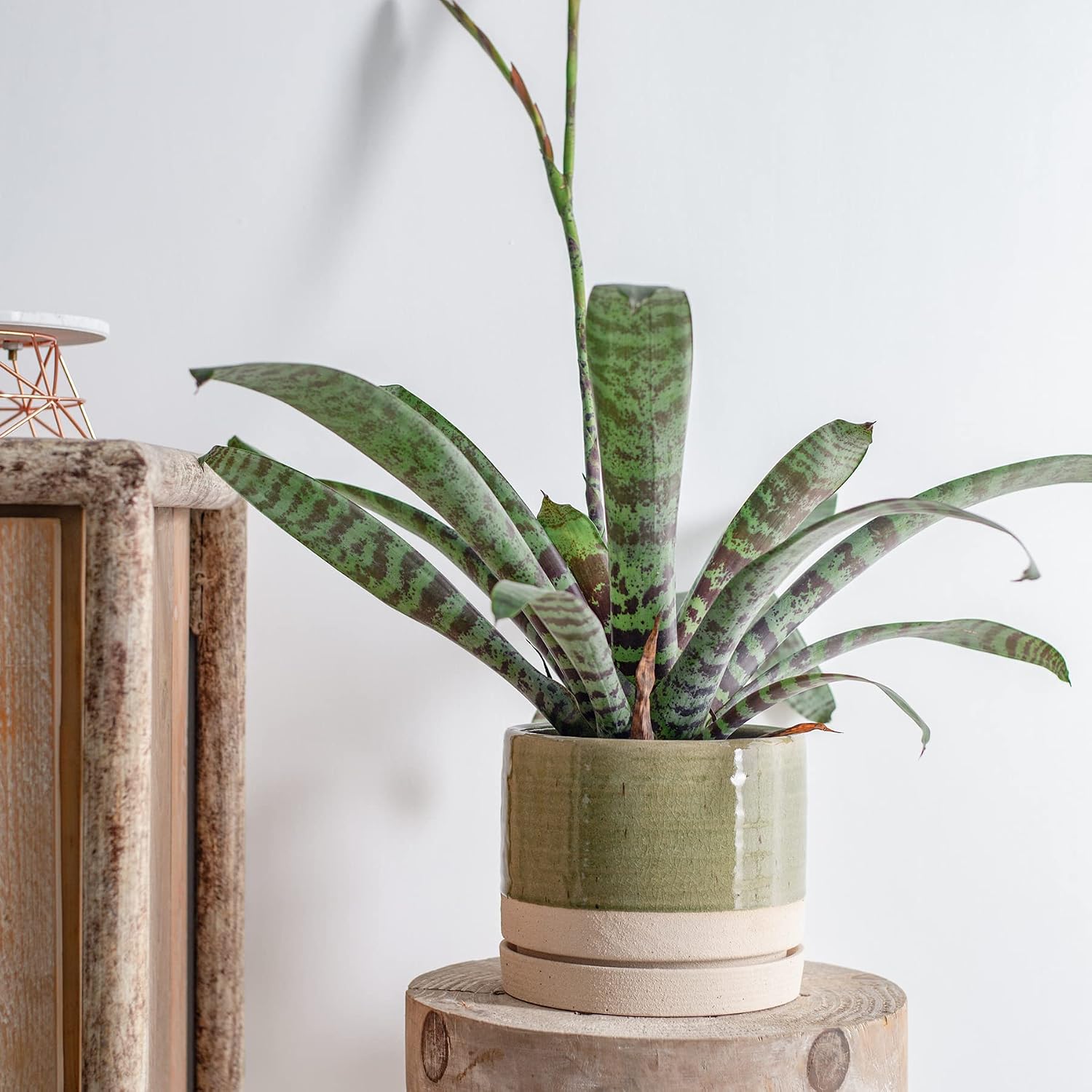 HERDUK 6 Inch Plant Pots, Ceramic Planter Pot with Drainage Hole & Saucer, Indoor/Outdoor Cylinder Round Planter Pot