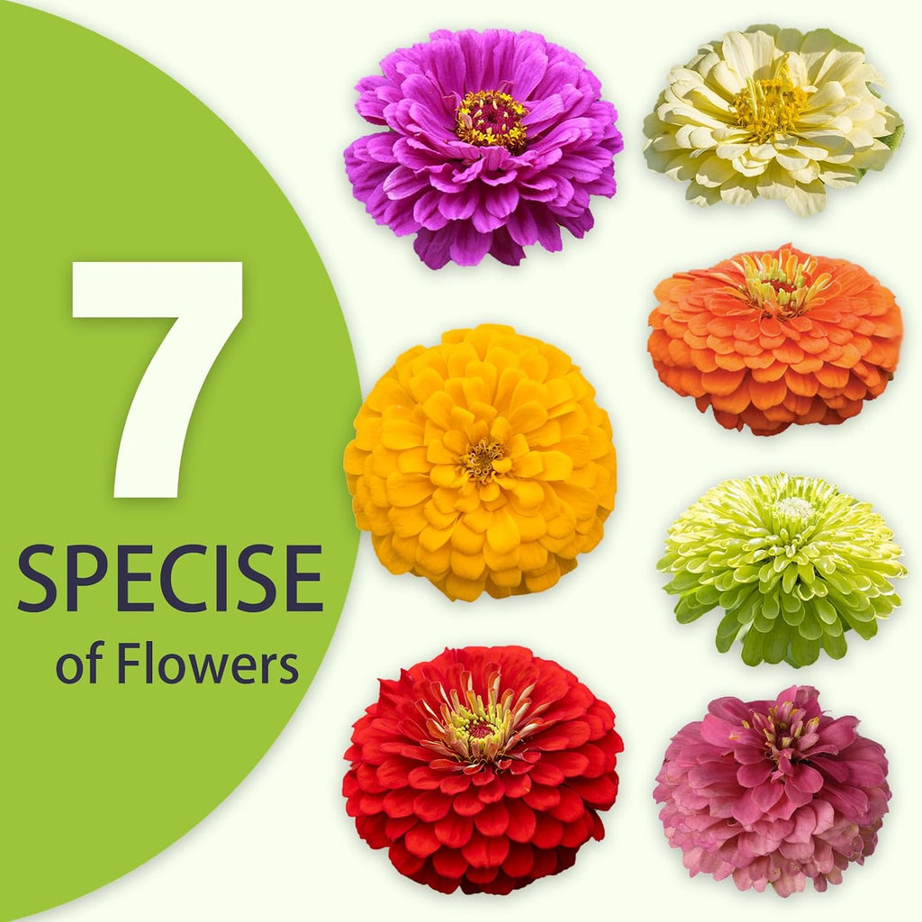Zinnia Seeds Bulk 20,000+ | Outdoor Flower for Planting |Giant Zinnia Seeds for 2026 Bulk| Mixed Colors & Large Blooms