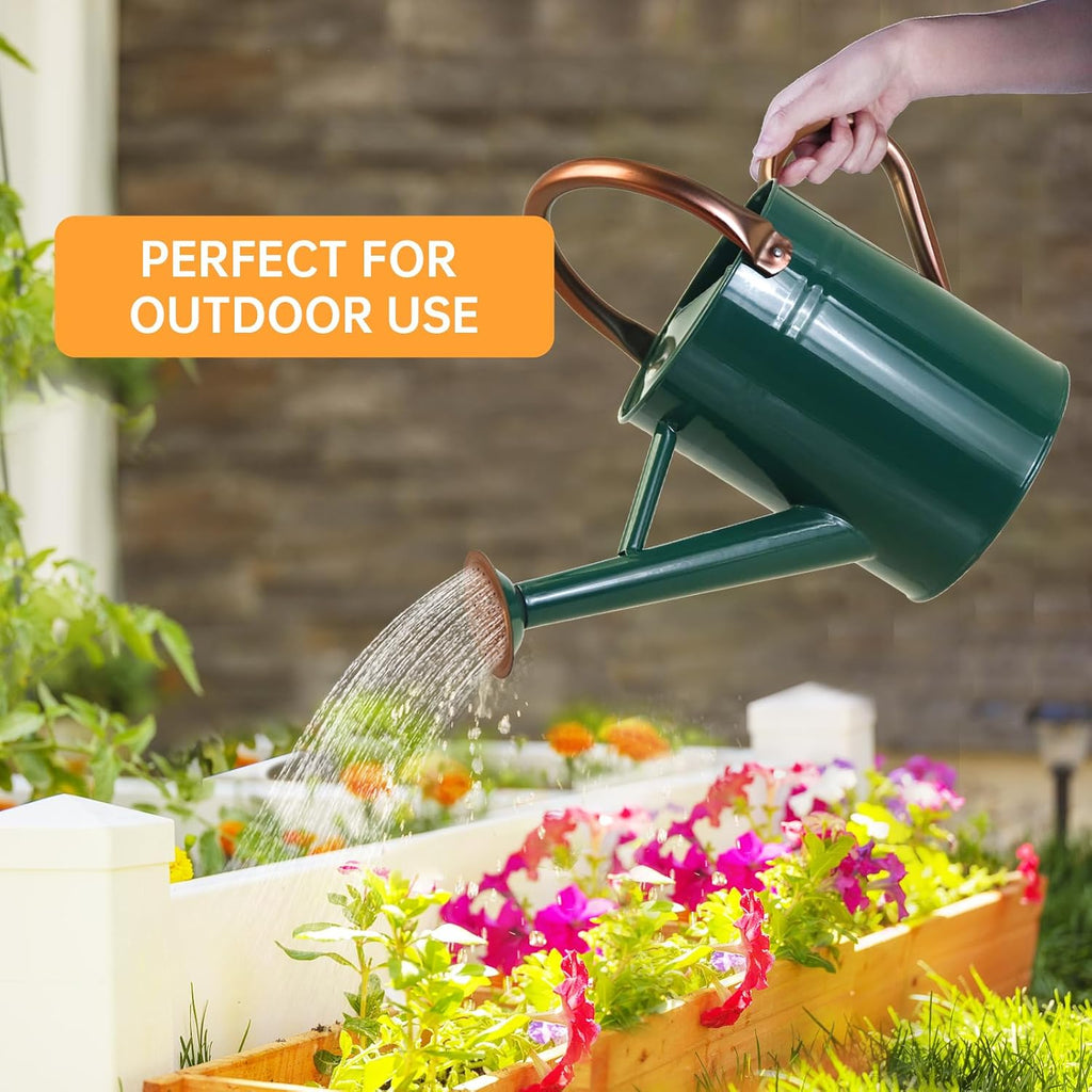 Metal Watering Can for Outdoor Plants, 1 Gallon Galvanized Steel Watering Can with Removable spout for Outdoor & Indoor