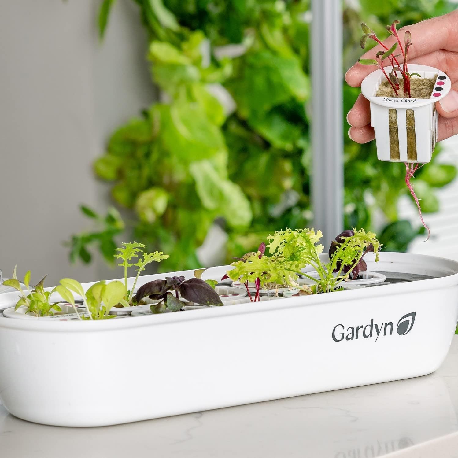 Gardyn Indoor Garden Nursery - Seed Starter Germination Kit | Hydroponic growing system tray, works with Gardyn Home