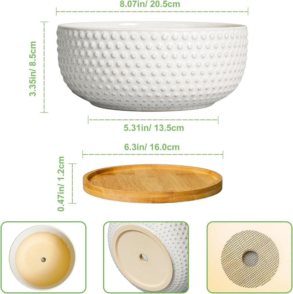 Succulent Pots 8 Inch - Ceramic Bonsai Planters for Indoor Plants, Plant Pot with Drainage Hole and Saucer, Shallow