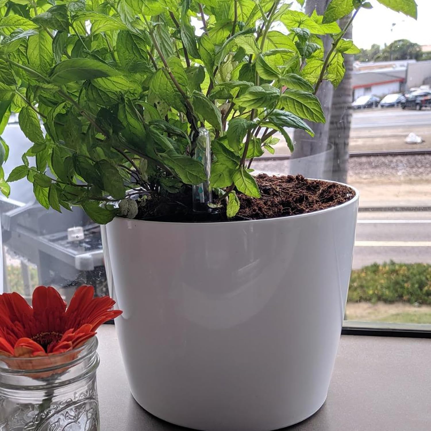 JOIKIT 4 Pack 7 Inches Self Watering Planter, White Plant Flower Pots with Water Level Indicator, Self Watering Pots