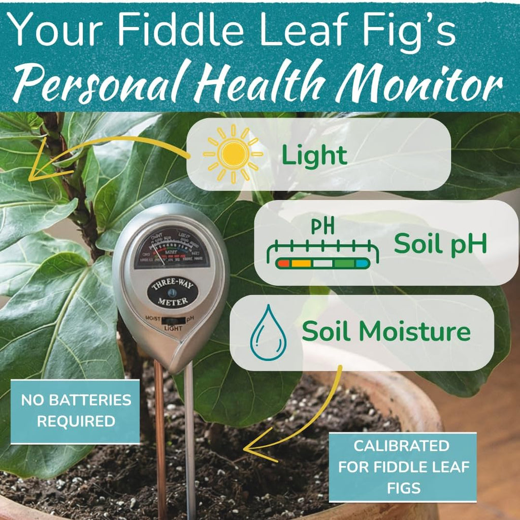 Fiddle Leaf Fig Health Meter, 3-in-1 Soil Moisture, Light & pH Testing Tool