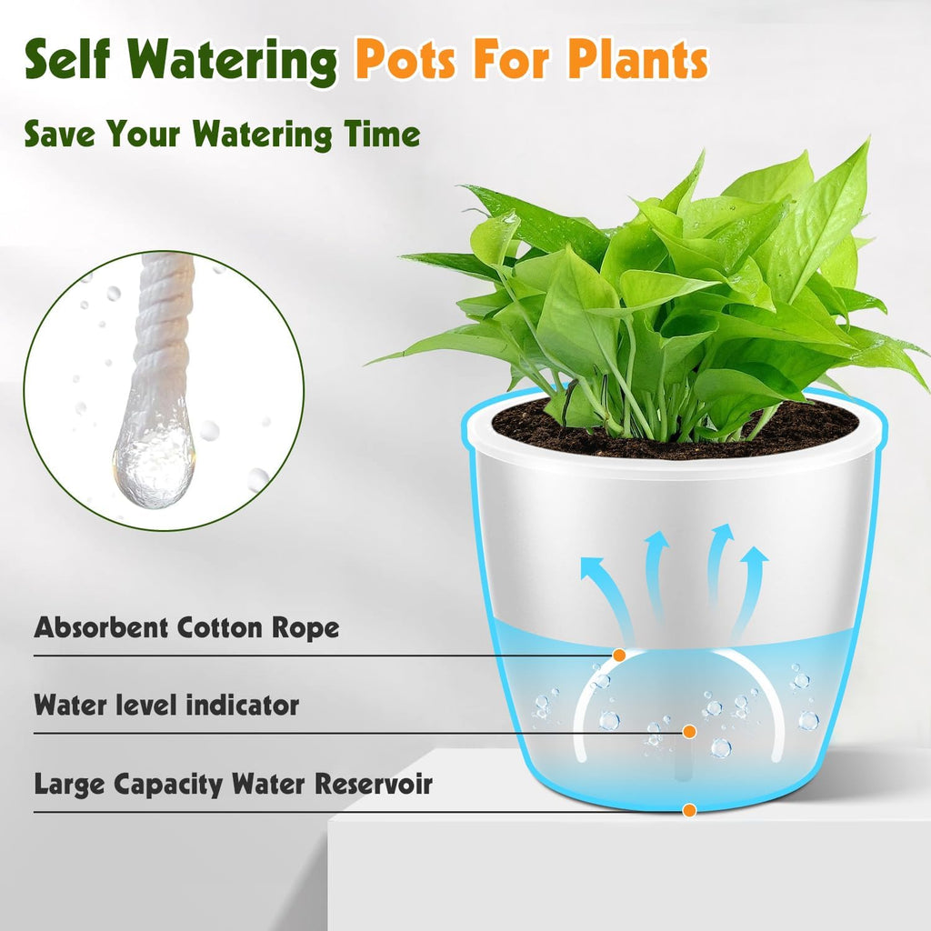 Self-Watering Pots for Indoor Plants, 12-Pack 5'' Self Watering Planter with Drainage Holes, Small African Violet Pots